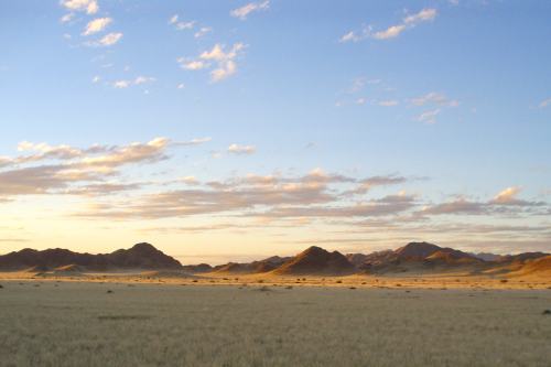 Desert Homestead (3)